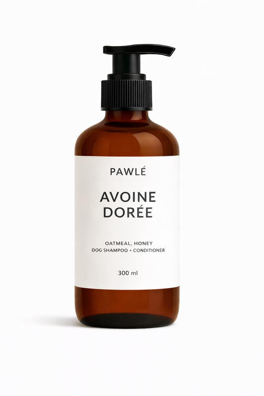 AVOINE DORÉE